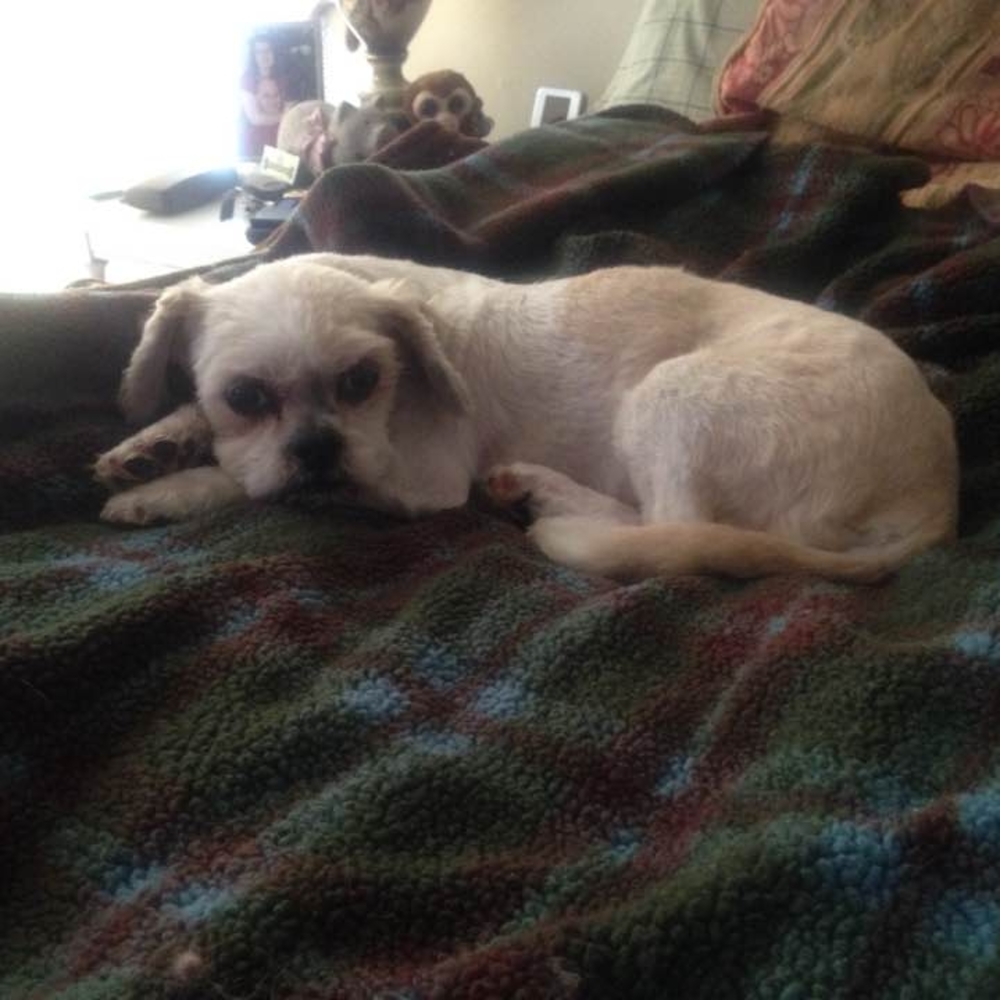 Meet your Posher, Joel